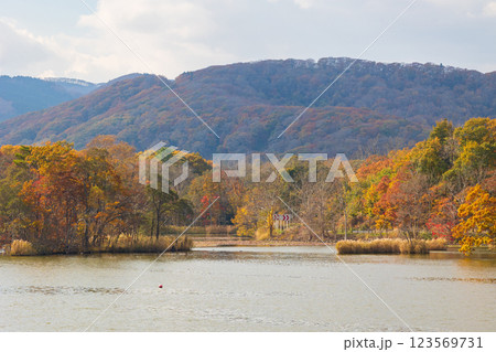 秋の北海道　紅葉の大沼公園　小沼 123569731