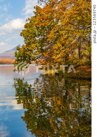秋の北海道　紅葉の大沼公園 123569740
