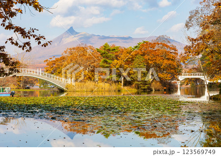 秋の北海道 紅葉の大沼公園 秋の北海道 紅葉の大沼公園 123569749
