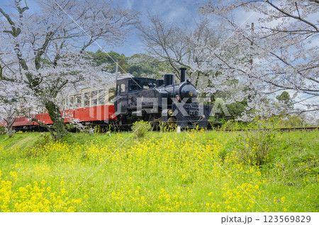 小湊鉄道飯給駅SL 123569829