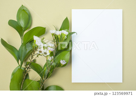 Minimal mock-up, plant and card mock-up Minimal mock-up, plant and card mock-up 123569971