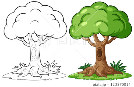 Cartoon Tree Illustration in Color and Outline 123570014