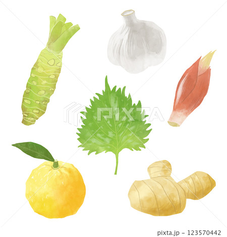 薬味のイラスト 123570442