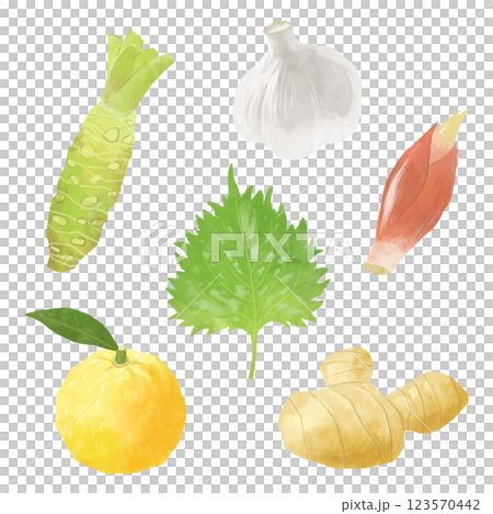 薬味のイラスト 123570442