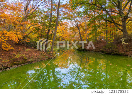 秋の北海道　紅葉の大沼公園 123570522