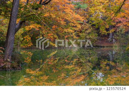 秋の北海道　紅葉の大沼公園 123570524