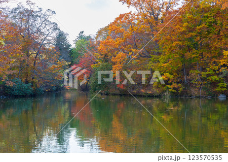 秋の北海道　紅葉の大沼公園 123570535