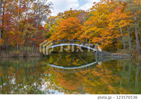 秋の北海道 紅葉の大沼公園 秋の北海道 紅葉の大沼公園 123570536