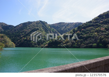 兵庫県南あわじ市　大日川ダムのダム湖　　　 123570576
