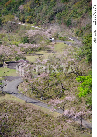 兵庫県南あわじ市　大日川ダムから桜の咲く大日ダム公園を望む 123570578