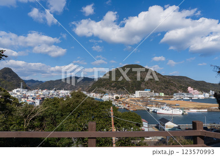 下田公園（下田城跡）から見る町と寝姿山／静岡県下田市 123570993