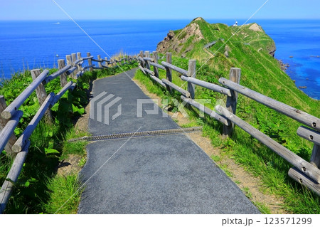 積丹半島－神威岬（積丹町） 123571299