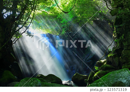 光芒の出る夫婦滝（熊本県南小国町） 123571319