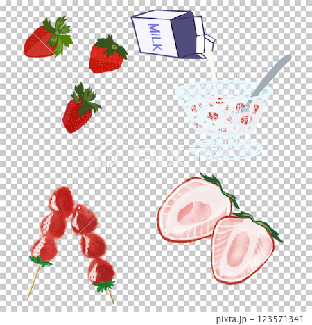 いちごの手描きイラスト 123571341