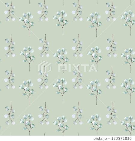 Eucalyptus branches in soft tones watercolor seamless pattern isolated. Neutral foliage in Scandinavian minimalist style hand drawn. Design for textiles, wedding decor, wallpaper, and nature prints. 123571836
