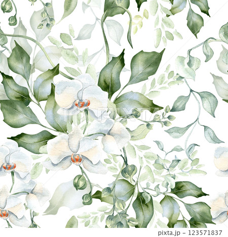 Elegant seamless pattern with white orchids, soft leaves, and holly isolated. Delicate watercolor floral repeated background with wavy branches and greenery. Design wedding print, botanical textiles. Elegant seamless pattern with white orchids, soft leaves, and holly isolated. Delicate watercolor floral repeated background with wavy branches and greenery. Design wedding print, botanical textiles. 123571837