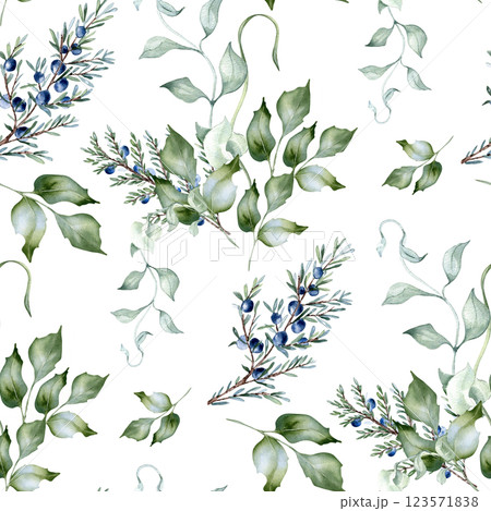 Holly branches, juniper sprigs, and coniferous foliage seamless watercolor pattern with isolated. Hand drawn curly vines and greenery twigs in dusty green. Elegant botanical background for fabric. 123571838