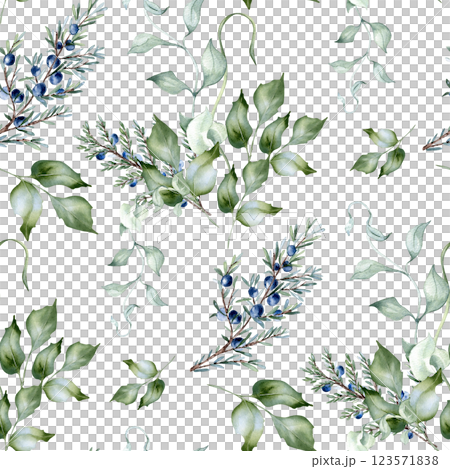 Holly branches, juniper sprigs, and coniferous foliage seamless watercolor pattern with isolated. Hand drawn curly vines and greenery twigs in dusty green. Elegant botanical background for fabric. 123571838