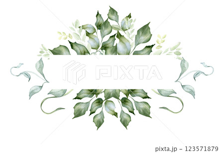 Holly branches and leaves watercolor border isolated on white. Soft leaves in sage green colors botanical sketch hand drawn. Greenery for packaging, natural cosmetics. Invitation with vintage foliage 123571879