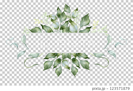 Holly branches and leaves watercolor border isolated on white. Soft leaves in sage green colors botanical sketch hand drawn. Greenery for packaging, natural cosmetics. Invitation with vintage foliage 123571879