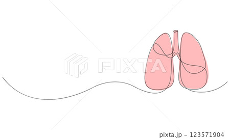 Anatomical human lungs organ continuous one line drawing. Vector illustration. 123571904