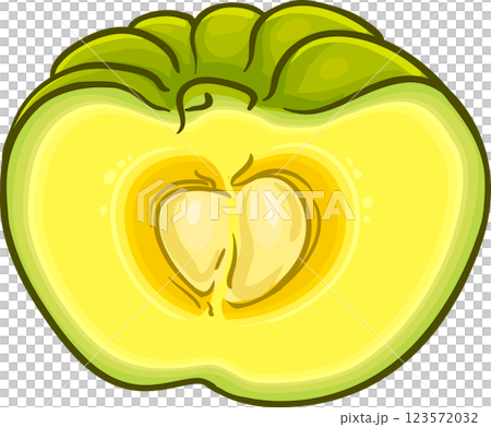 Garcinia Branch with Flowers Fruits and Leaves Colored Detailed Illustration. 123572032