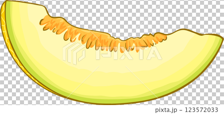 Melon Fruits Colored Detailed Illustration 123572033