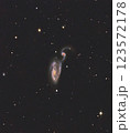 Arp84(Heron Galaxy) 123572178