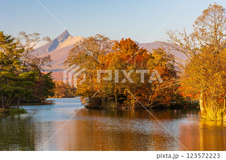 秋の北海道 紅葉の大沼公園 夕暮れの大沼 秋の北海道 紅葉の大沼公園 夕暮れの大沼 123572223