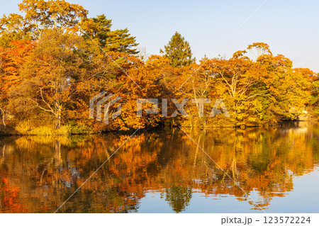 秋の北海道 紅葉の大沼公園 夕暮れの大沼 秋の北海道 紅葉の大沼公園 夕暮れの大沼 123572224