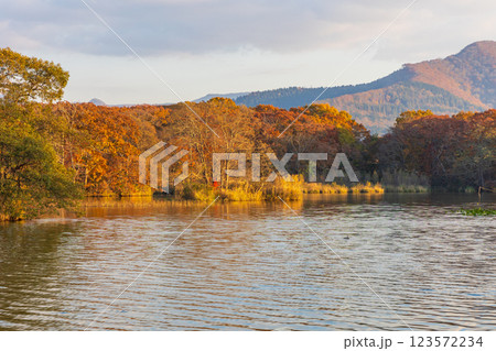 秋の北海道 紅葉の大沼公園 夕暮れの大沼 秋の北海道 紅葉の大沼公園 夕暮れの大沼 123572234