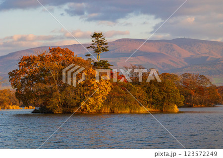 秋の北海道　紅葉の大沼公園　夕暮れの大沼 123572249