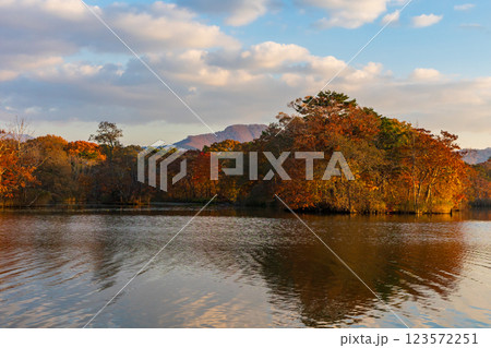 秋の北海道　紅葉の大沼公園　夕暮れの小沼 123572251