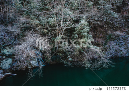 淡雪で薄化粧された木々と犀川の水面【久米路峡】 123572378