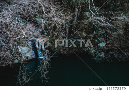 淡雪で薄化粧された木々と犀川の水面【久米路峡】 淡雪で薄化粧された木々と犀川の水面【久米路峡】 123572379