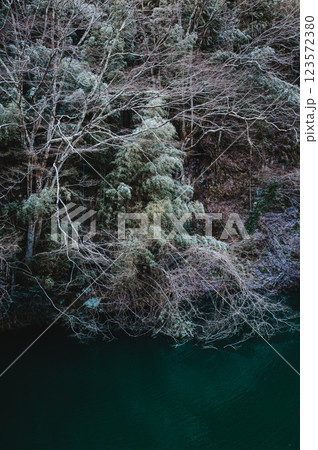 淡雪で薄化粧された木々と犀川の水面【久米路峡】 淡雪で薄化粧された木々と犀川の水面【久米路峡】 123572380