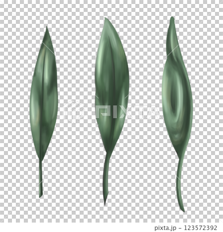 Set of orange leaves green color to create organic botanical seasonal cozy decor. Sustainable celebration of natural recyclable material, plastic free concept. Isolated botanical illustration 123572392