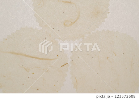 和紙（楮紙）による背景素材 123572609