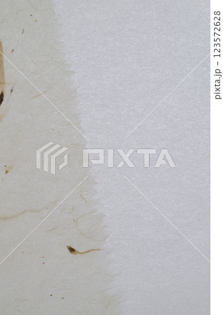 和紙（楮紙）による背景素材 123572628