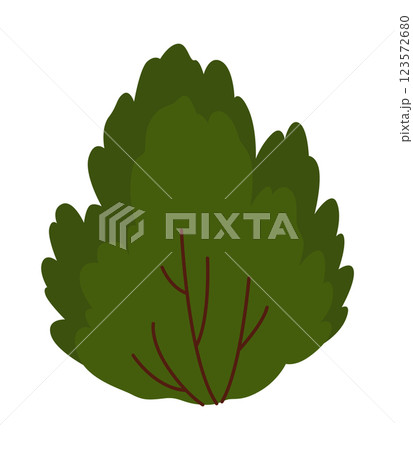 Bush icon. Deciduous plant. Green crowns and lush foliage with natural brown trunks and branches. Vector cartoon illustration 123572680