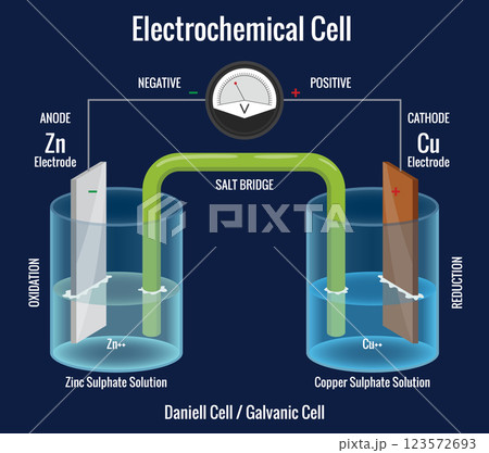 Electrochemical cell with voltmeter. Diagram of galvanic cell showing anode and cathode. Chemical energy change into electrical energy. Scientific vector illustration isolated on white background 123572693