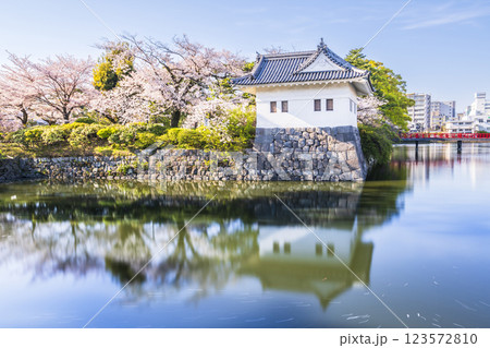 春の小田原城址公園 桜咲くお堀の風景【神奈川県・小田原市】 春の小田原城址公園 桜咲くお堀の風景【神奈川県・小田原市】 123572810