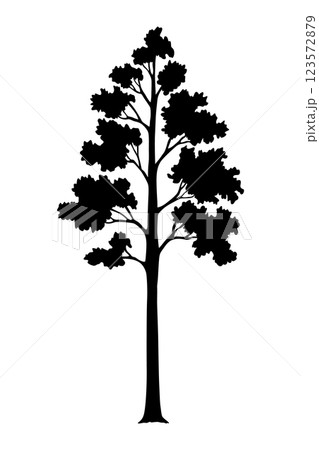 Trees black silhouette, natural wild landscape. Refined digital illustration capturing essence of tree in striking black silhouette. Vector foreground of woodland Trees black silhouette, natural wild landscape. Refined digital illustration capturing essence of tree in striking black silhouette. Vector foreground of woodland 123572879