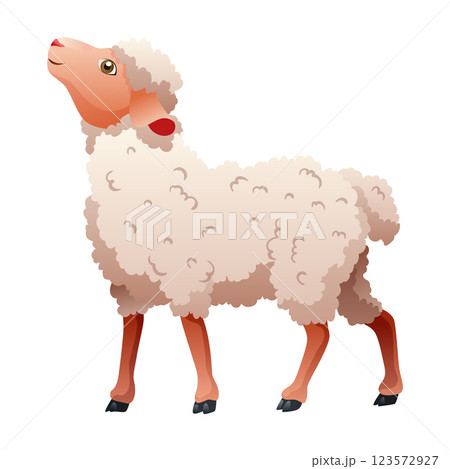 Small cartoon sheep. Lamb flat vector illustration. Funny baby sheep with curly wool. Farm animal art isolated on white background Small cartoon sheep. Lamb flat vector illustration. Funny baby sheep with curly wool. Farm animal art isolated on white background 123572927