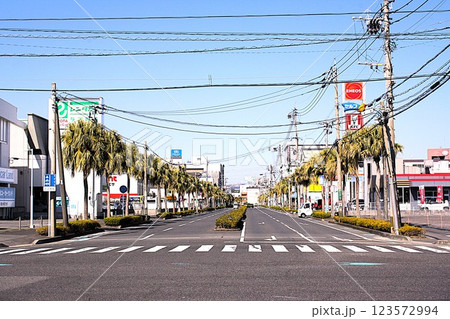 南国を感じさせる観光道 南国を感じさせる観光道 123572994