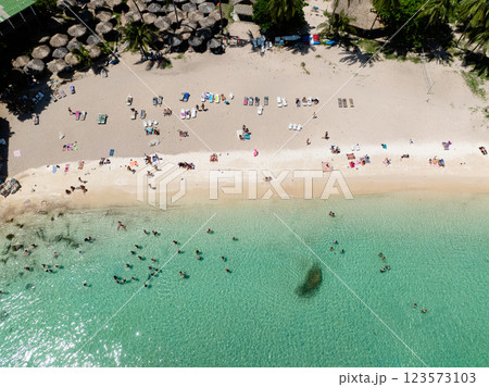 Crowded beach featuring turquoise water, swimmers, sunbathers, and palm trees providing shade under a clear blue sky. Ao Leuk, Koh Tao, Thailand. Crowded beach featuring turquoise water, swimmers, sunbathers, and palm trees providing shade under a clear blue sky. Ao Leuk, Koh Tao, Thailand. 123573103