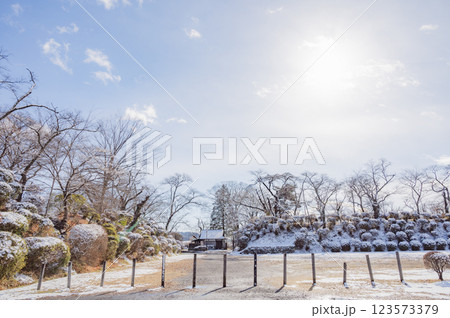 福島　冬の 棚倉城跡（亀ヶ城公園） 123573379