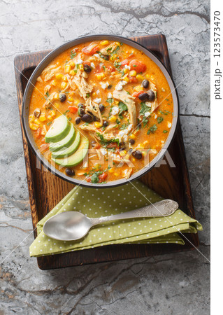 Creamy Chicken Enchilada Soup is packed with Tex-Mex flavors closeup on the plate. Vertical top view Creamy Chicken Enchilada Soup is packed with Tex-Mex flavors closeup on the plate. Vertical top view 123573470