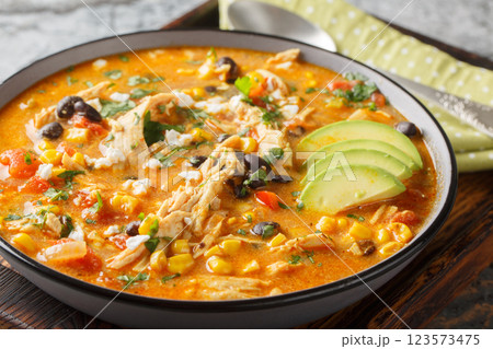 Mexican food Chicken enchilada soup spicy, hearty, and thick closeup on the plate. Horizontal Mexican food Chicken enchilada soup spicy, hearty, and thick closeup on the plate. Horizontal 123573475