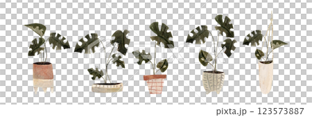 Watercolor set with jungle monstera leaves in pots isolated on white. Botanical clip art hand drawn with watercolor and pencil. mixed media 123573887